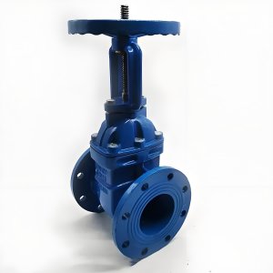 手動閘閥Z41T-16 DN50/DN65廠家直銷，上海發