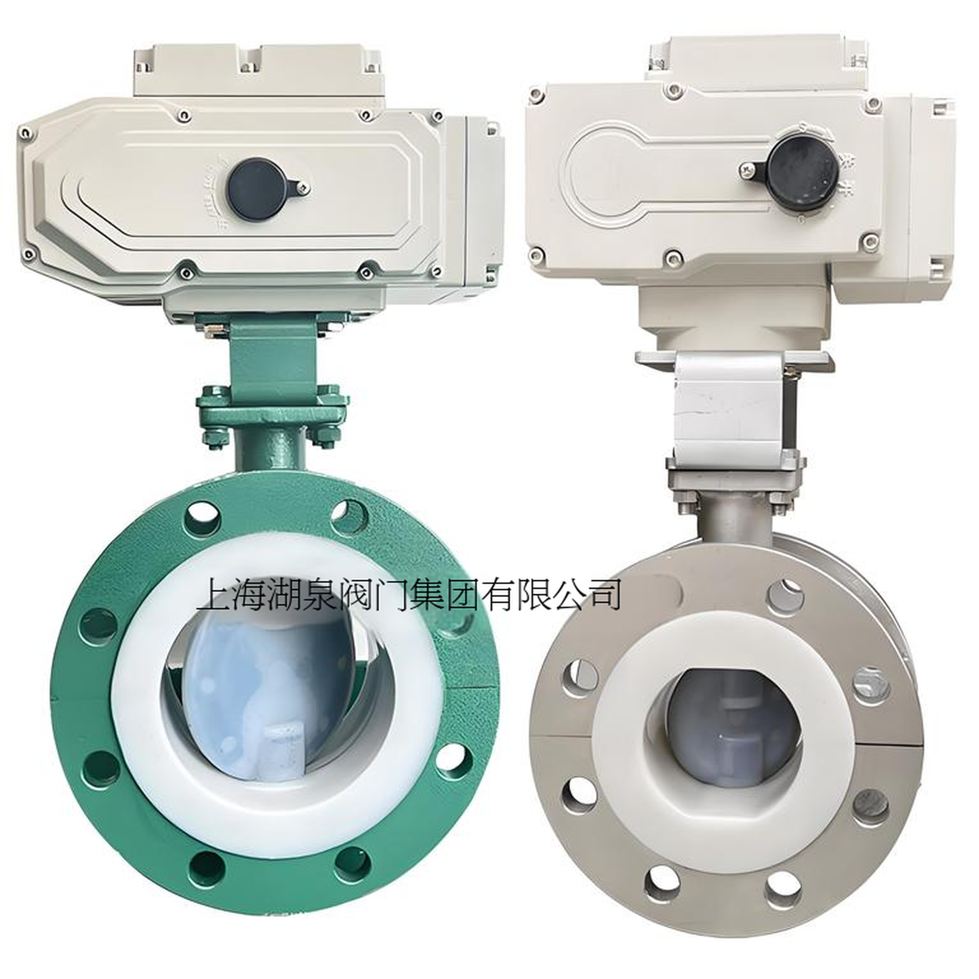 電動(dòng)襯氟蝶閥